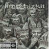 LIMP BIZKIT - NEW OLD SONGS