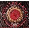 WHITESNAKE - FLESH & BLOOD - 2 LP